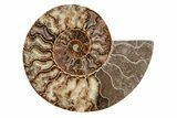 8.2" Agatized, Cut & Polished Ammonite Fossil - Madagasar - #191368-6
